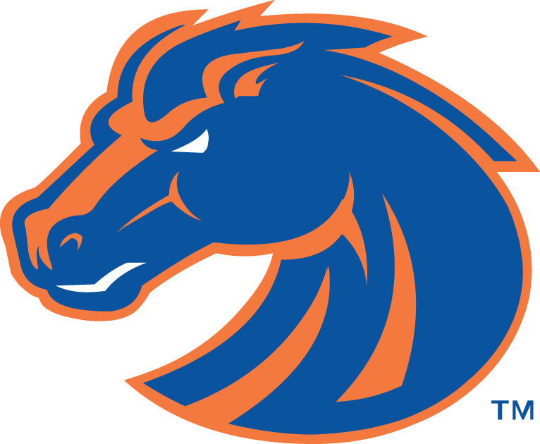 Boise State Broncos 2002-2012 Secondary Logo diy iron on heat transfer